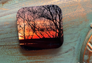 Tracy Petreman Photography Magnets